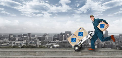 Delivery Delivery