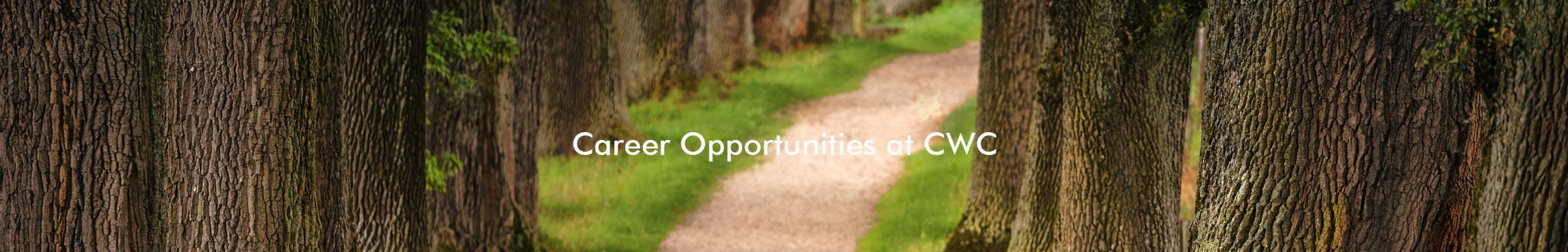 career-img-path career-img-path
