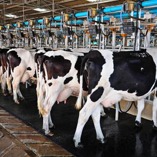 Industry-Agriculture